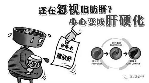 脂肪肝补硒可以吃吗（硒对脂肪肝的?；ぃ?硒宝网