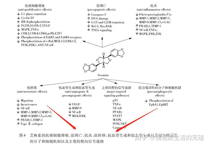 补钙喝什么牛奶(喝牛奶补钙)-硒宝网