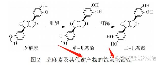 补钙喝什么牛奶(喝牛奶补钙)-硒宝网