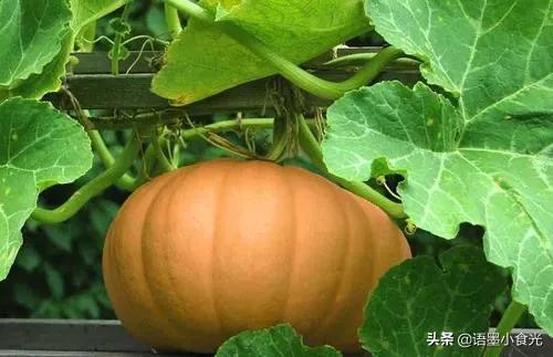 什么东西补钙最好中老年(补钙中老年人)-硒宝网