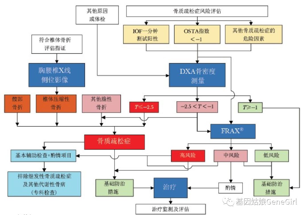 骨折 补钙(骨折补钙吃什么钙片好)-硒宝网