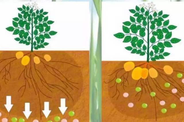 微量元素七项(微量元素项目名称有哪些)-硒宝网