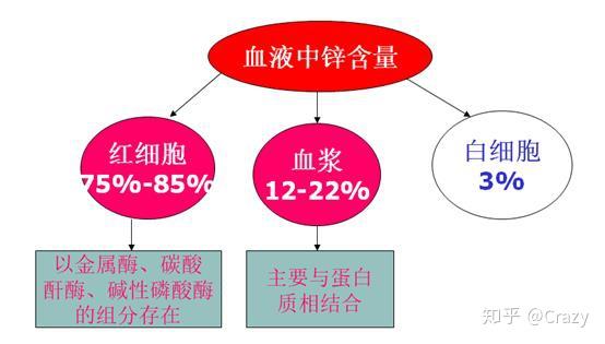 儿童检查微量元素多少钱(儿童微量元素检查)-硒宝网