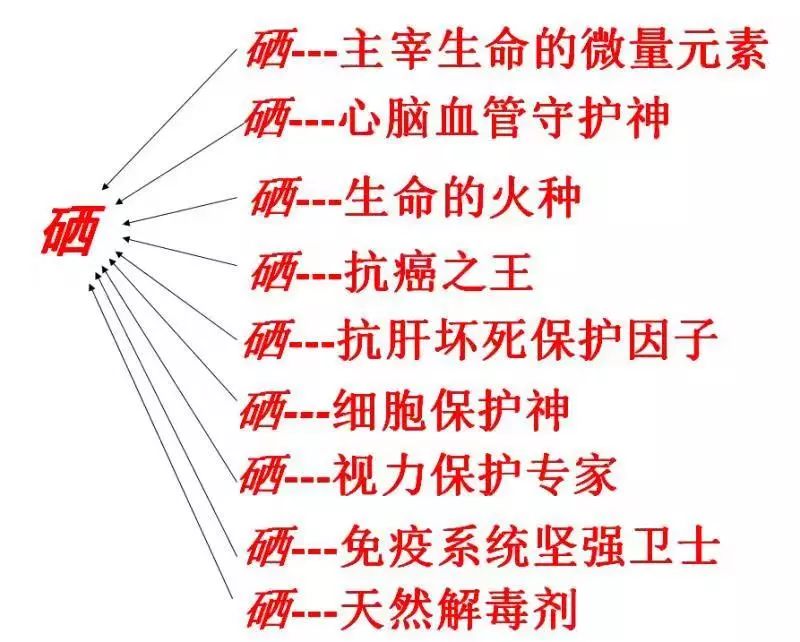 50男人补硒的好处(男人补硒能提高性功能吗)-硒宝网