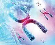 补硒真能治心脏病吗（心脏病可以补硒吗）-硒宝网