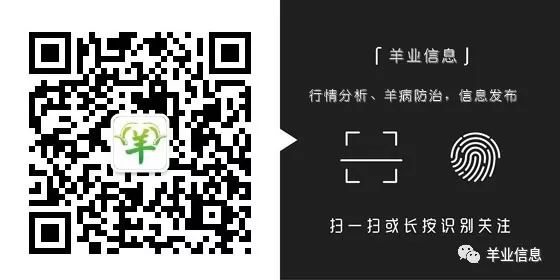 羊补硒打多了怎么办（大羊补硒一次补多少）-硒宝网