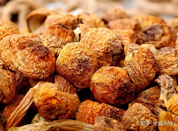 宫颈癌术后能补硒吗(宫颈癌术后能补硒吗)-硒宝网