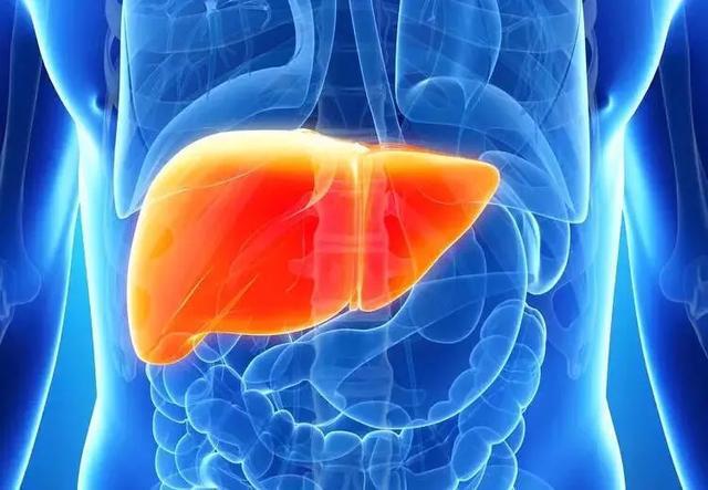 肝纤维化补硒有用么（肝纤维补化硒用有副作用吗）-硒宝网