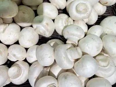 补硒对脑梗有作用吗(补硒对脑梗有哪些作用)-硒宝网