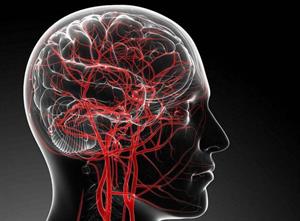 所有人都需要补硒吗(需要补硒的人群)-硒宝网