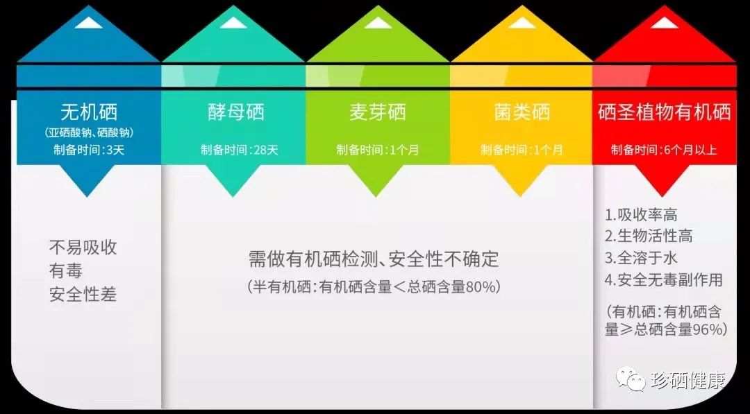 怎么样补硒快效果好(补硒效果分享)-硒宝网