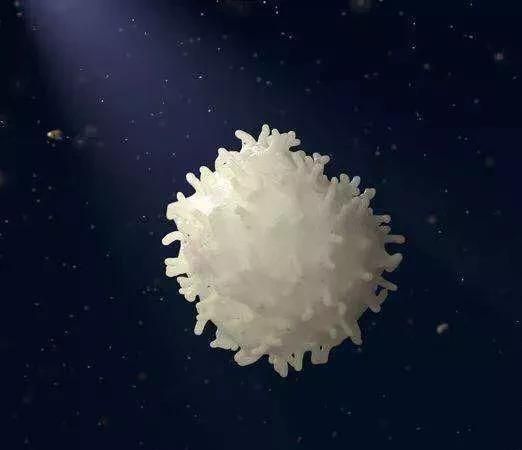 白血病患者怎样补硒（白血病补硒辅助治疗）-硒宝网