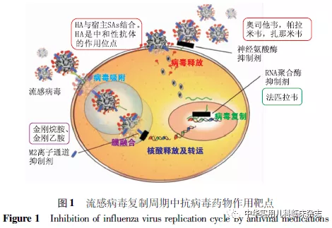 艾滋病患者补硒效果（艾滋病人补硒）-硒宝网
