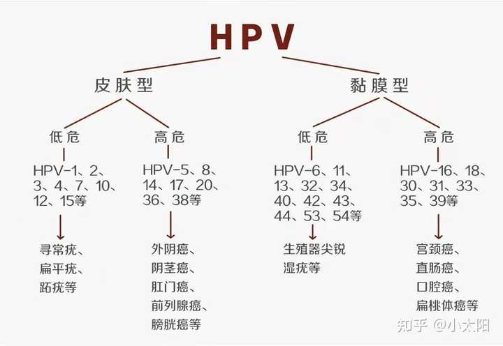 月经期补硒可以吃吗(硒片姨妈来了能吃么)-硒宝网