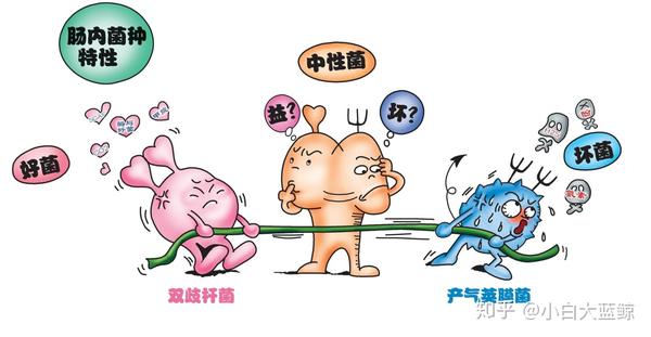 支气管哮喘能补硒吗(支气管哮喘可用)-硒宝网