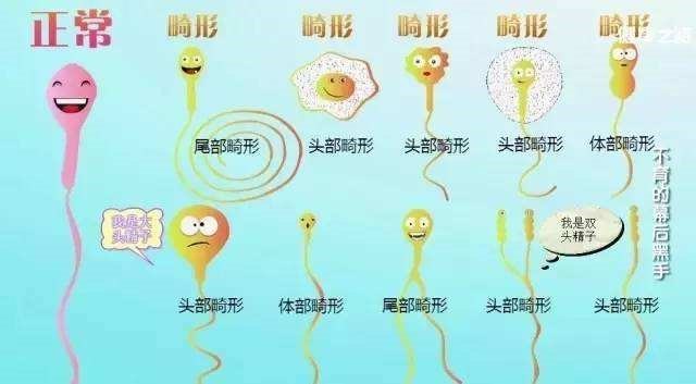 补硒可以助孕吗知乎(补硒对孕妇的好处)-硒宝网