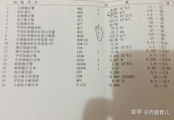补铁的作用(补铁的常用药)-硒宝网