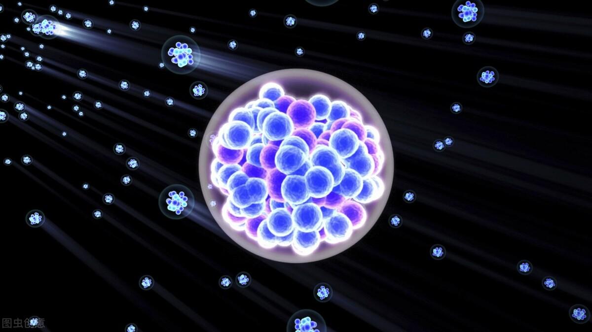 什么时候补钙（补钙时候不能吃什么）-硒宝网