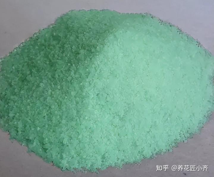 补铁的作用(补铁起到什么作用)-硒宝网