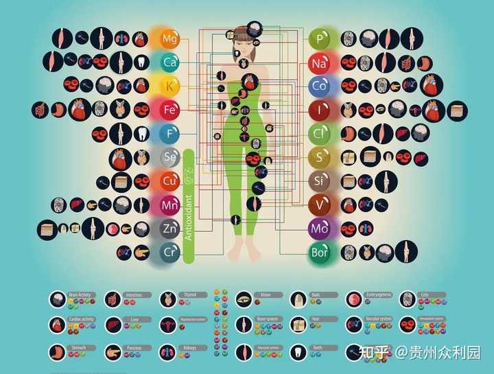 补硒会口腔溃疡嘛吗（口腔溃疡缺硒）-硒宝网