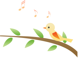 补铁药物(什么药物补铁)-硒宝网