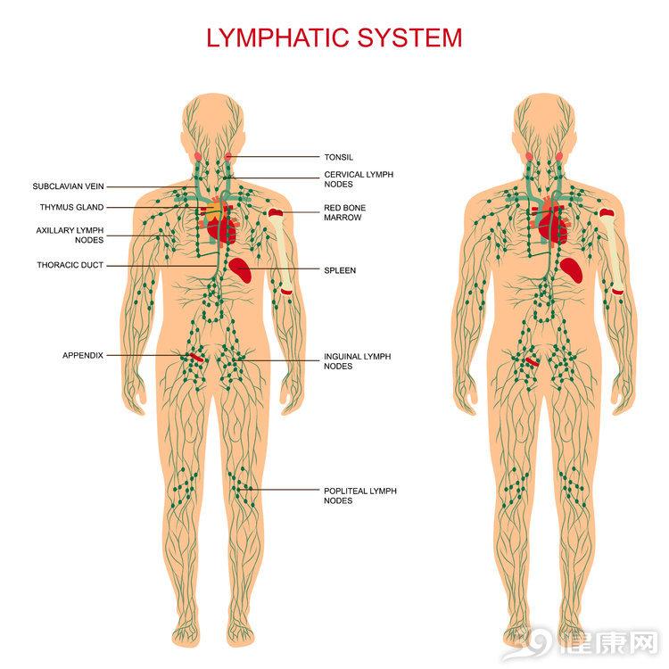 经常喝酒补硒有用吗（喝酒吃硒片）-硒宝网