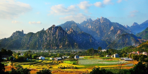 一年以上的补硒食品（含硒补品）-硒宝网