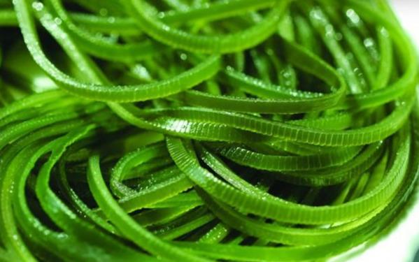 骨头汤补钙吗是真的吗（骨头汤补钙是真是假）-硒宝网