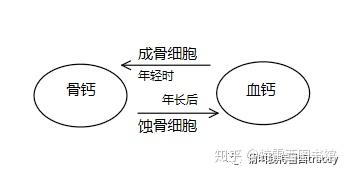 女性补钙吃什么钙片好（女性吃钙片好吗）-硒宝网
