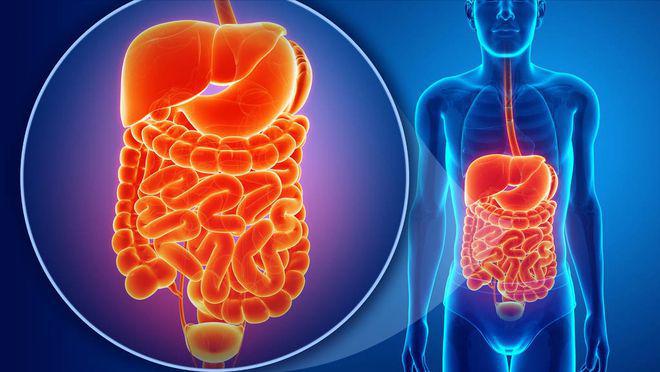 老年人可以补些硒吗(老年人可以补硒吗)-硒宝网
