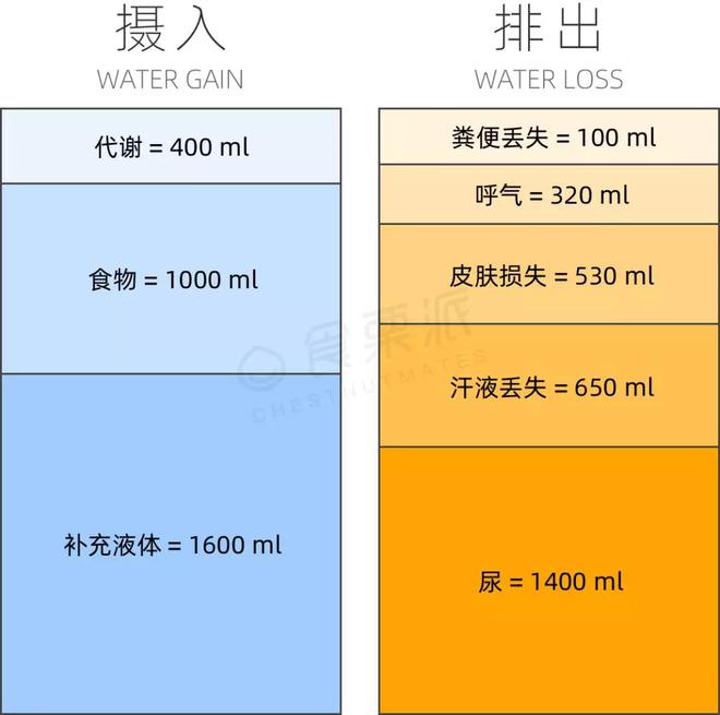 老年人可以补些硒吗(老年人可以补硒吗)-硒宝网
