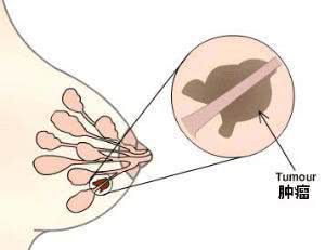 大姨妈能补硒吗女性(姨妈能补女性硒大量吗)-硒宝网