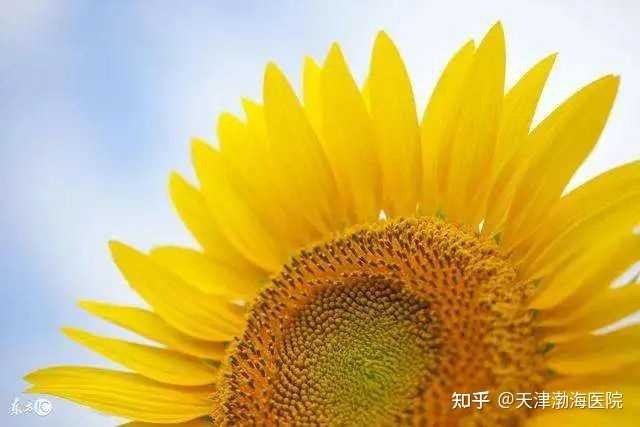 提高抵抗力补硒的药（身体免疫力低可以吃硒片吗）-硒宝网