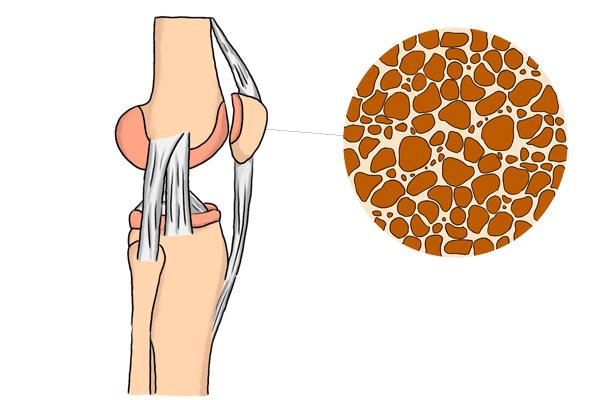 吃什么食物补钙最快（食物补钙吃什么好）-硒宝网