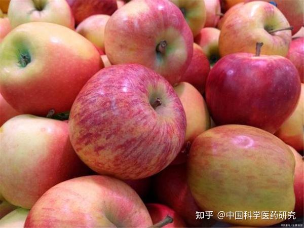 四岁孩子补钙哪种钙好（补钙效果好的儿童钙片）-硒宝网