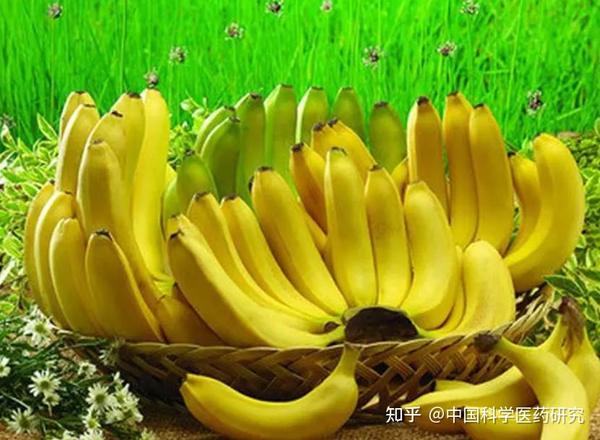 四岁孩子补钙哪种钙好（补钙效果好的儿童钙片）-硒宝网