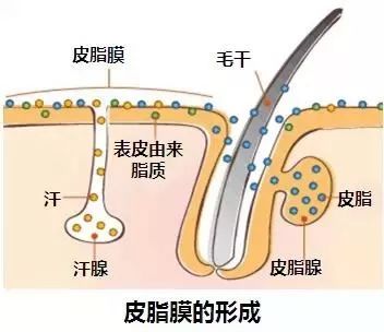 脸上长痘补硒有用吗(吃硒片长痘痘)-硒宝网