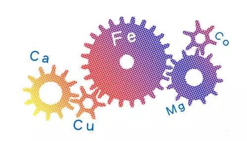 医院查微量元素多少钱(查微量元素一般医院都可以查吗)-硒宝网