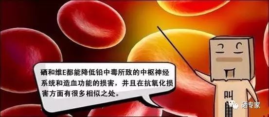 维生素e和硒怎么补(维生素e硒片怎么服用合适)-硒宝网