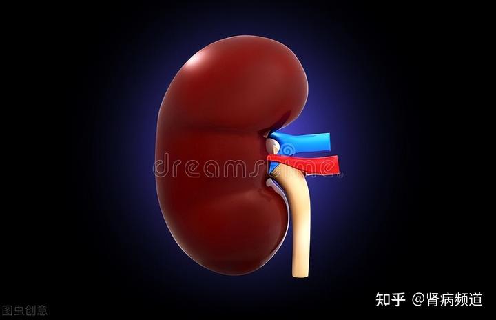 肌酐偏高补硒有用吗(肌酐高能补锌吗)-硒宝网