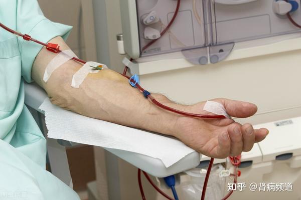 肌酐偏高补硒有用吗(肌酐高能补锌吗)-硒宝网