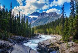 什么补锌（什么水果补锌孕妇吃什么补锌）-硒宝网