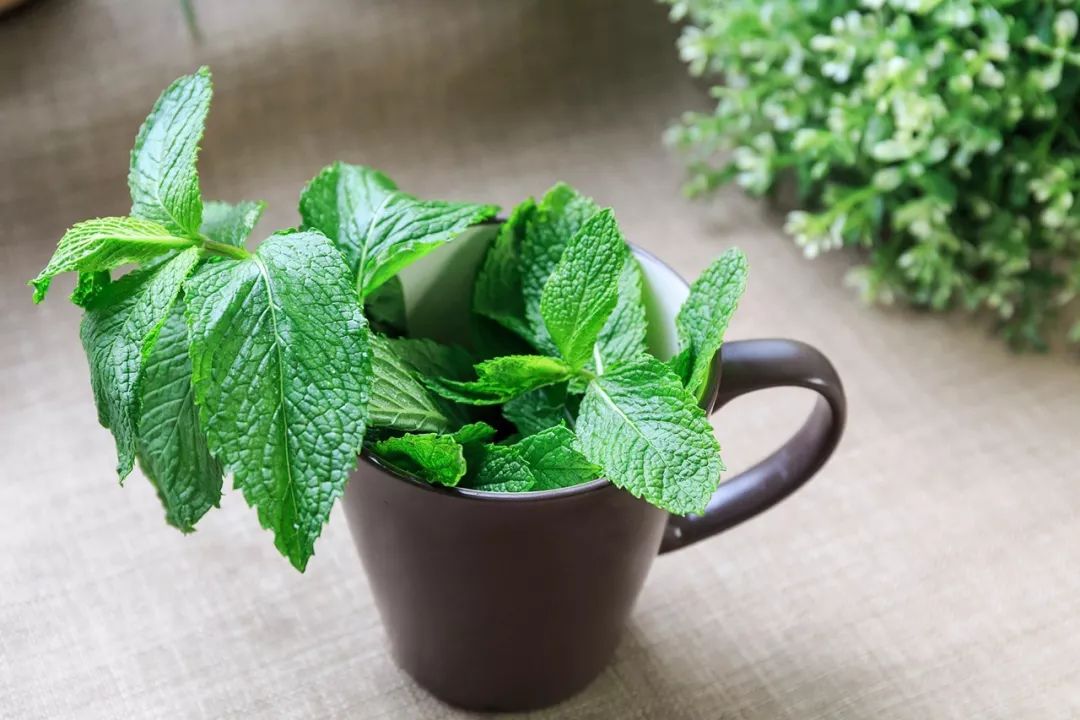 补硒后能吃西洋参吗（西洋参含硒）-硒宝网