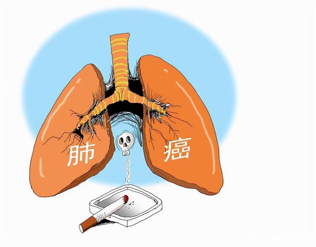 补钙有什么用（补钙用有机钙还是无杌钙好）-硒宝网