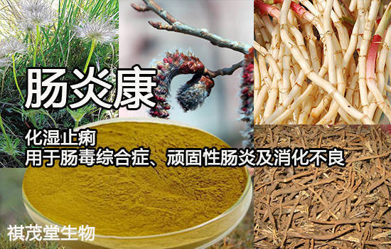 母猪补硒的药多少钱(母猪补硒补多少)-硒宝网