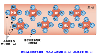 补铁最快的方法（补铁要怎么补）-硒宝网