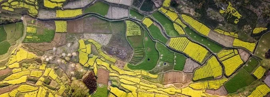 补硒能不能长寿的药(能长寿药补硒吗)-硒宝网