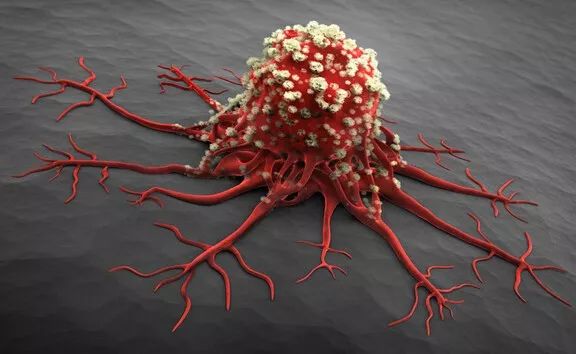 补硒能不能长寿的药(能长寿药补硒吗)-硒宝网