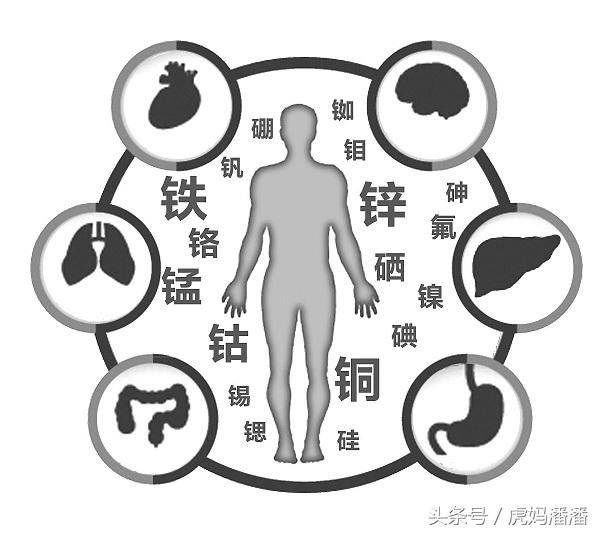 缺硒钼镁吃什么能补（缺镁补啥）-硒宝网