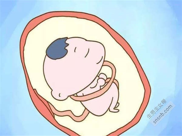 吃什么补钙快速又有效（补钙快速有效吃什么药）-硒宝网